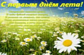 Открытка с первым днем лета с пожеланием, ромашки