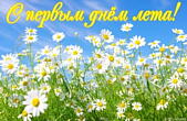 Открытка с первым днем лета, ромашки