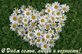 Открытка с Днем семьи, любви и верности, сердце из ромашек