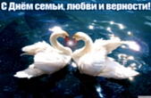 Открытка с Днем семьи, любви и верности, лебеди