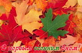 Открытка с первым осенним днем, листья