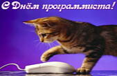 Открытка с Днем программиста, котенок