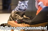 Открытка с Днем программиста, кот