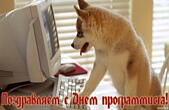 Открытка с Днем программиста, собака
