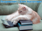 Открытка с Днем бухгалтера прикольная, кот