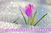 Открытка с 8 марта, подснежник