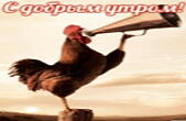 Открытка с добрым утром прикольная, петух