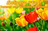 Открытка с добрым утром, тюльпаны