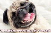 Открытка с Днём смеха прикольная