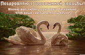 Открытка с годовщиной свадьбы, лебеди