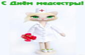 Открытка с Днем медсестры, красивая кошка