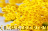 Открытка с первым днем весны красивая, мимоза