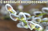 Открытка с Вербным воскресеньем красивая, верба