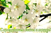 Открытка с праздником весны и труда красивая