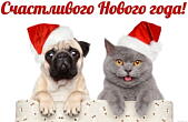 Открытка счастливого Нового года, кот и собака
