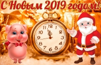 Открытка с Новым 2019 годом, свинья, Санта