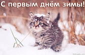 Открытка с первым днем зимы, кот и снег