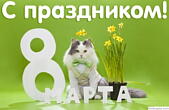 Открытка с праздником, тюльпаны, кот