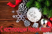 С наступающим Новым годом