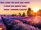 Пусть солнце тебе светит ярче, теплее!