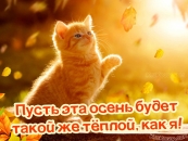 Пусть эта осень будет такой же теплой, как я!