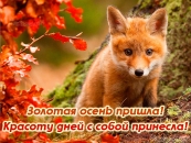 Красота осенних дней