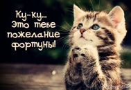 Ку-ку.. Это тебе пожелание фортуны!
