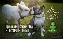 Провожаем Старый Год и встречаем Новый