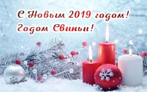 2019 - год свиньи