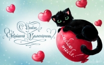 Влюблённый кот